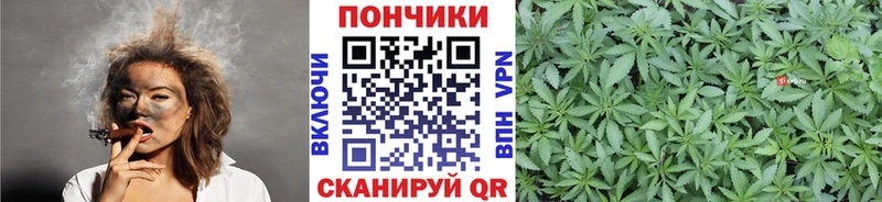 OMG онион  что такое наркотик  Бобров  Канабис сатива 